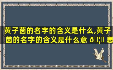 黄子茵的名字的含义是什么,黄子茵的名字的含义是什么意 🦆 思